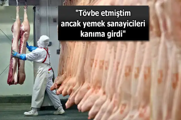 1121916_620x410.webp