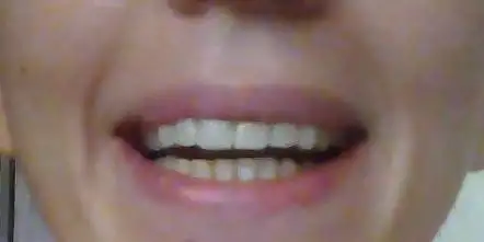 11749742_10206045061637211_1340431087_n.webp