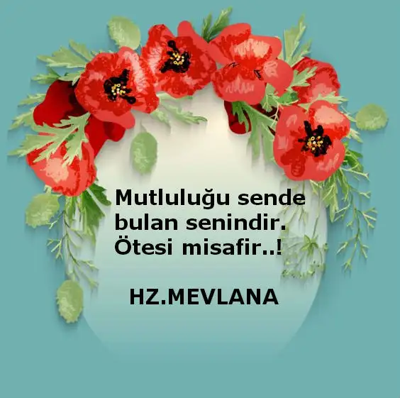 1180aa3892879f03cec733cb5da9b7f3.webp