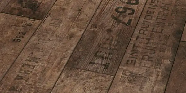 1192752-600x300.webp