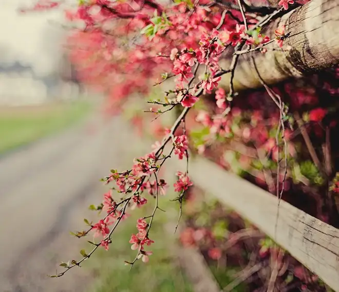 12-660x570.webp