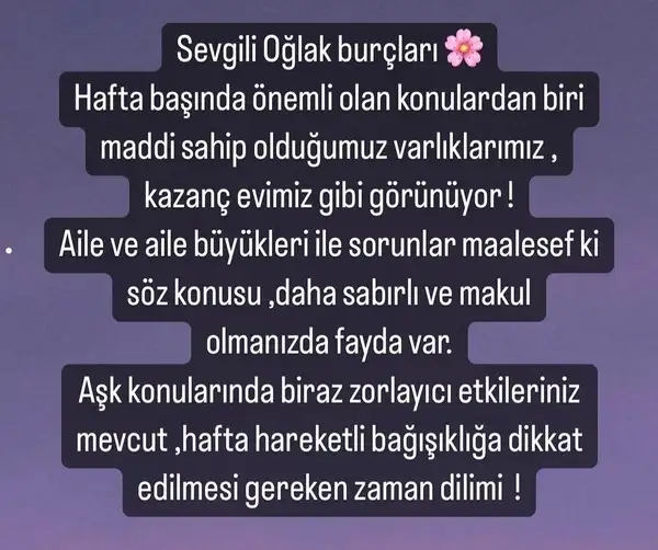 12 haft (11).webp