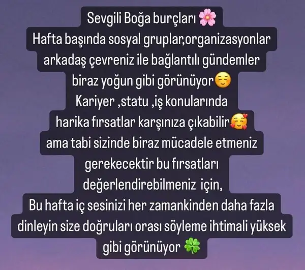 12 haft (3).webp