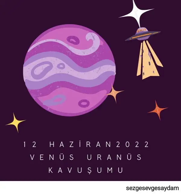 12 hazzz (1).webp