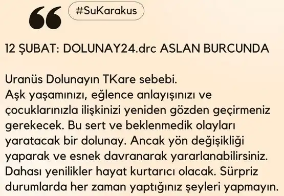 12 şb as.webp