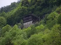 12.webp
