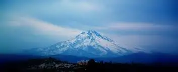 12.webp