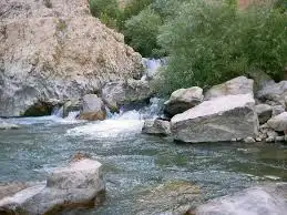 12.webp