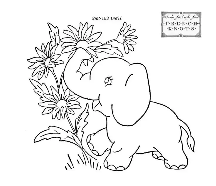 12.webp