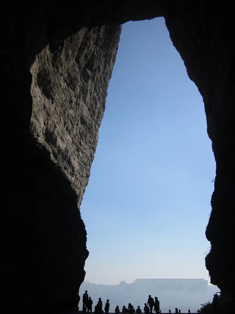 12.webp