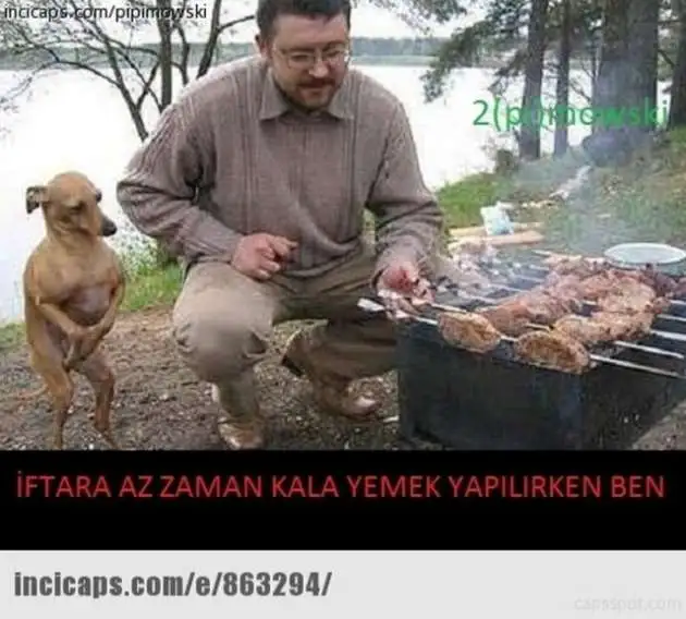 12.webp
