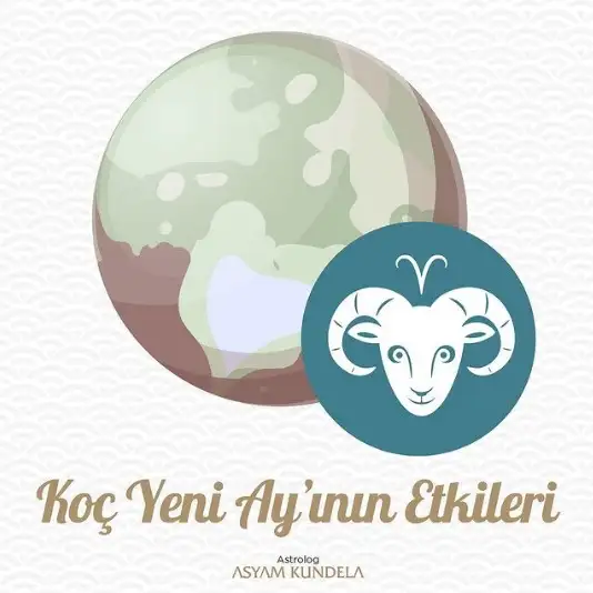 12.webp