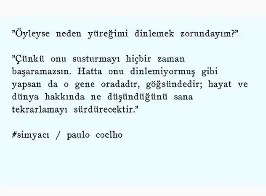 12.webp