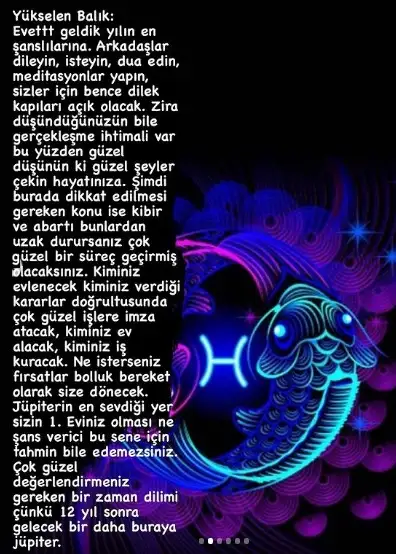 12.webp