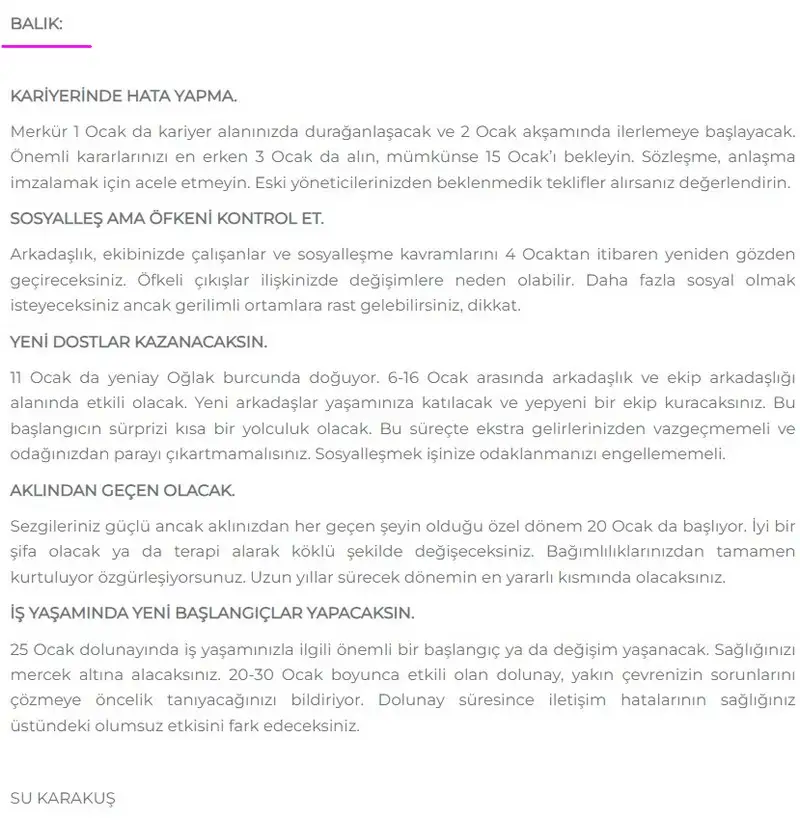 12.webp