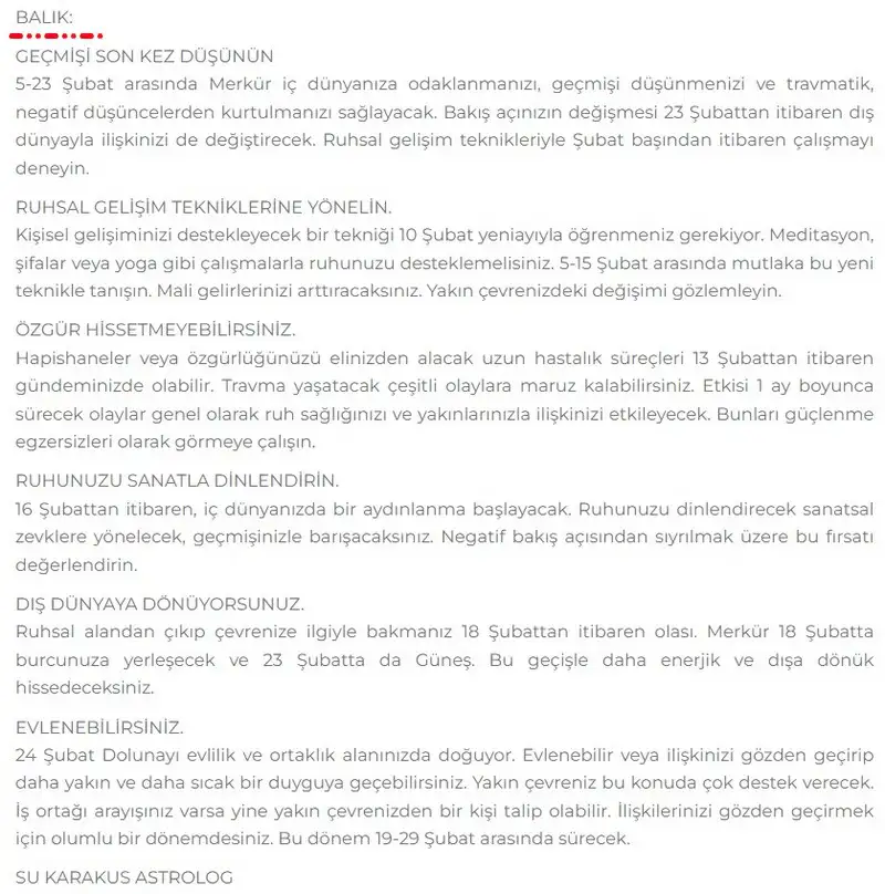 12.webp