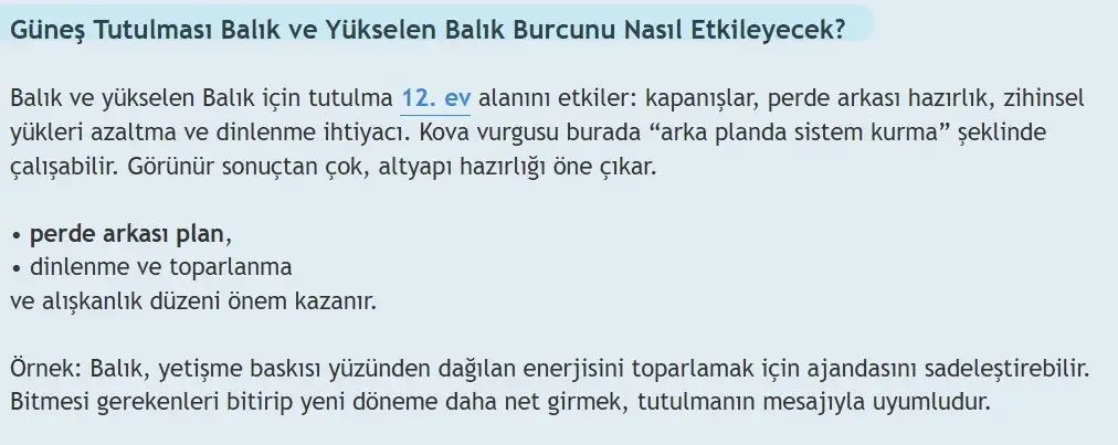 12.webp