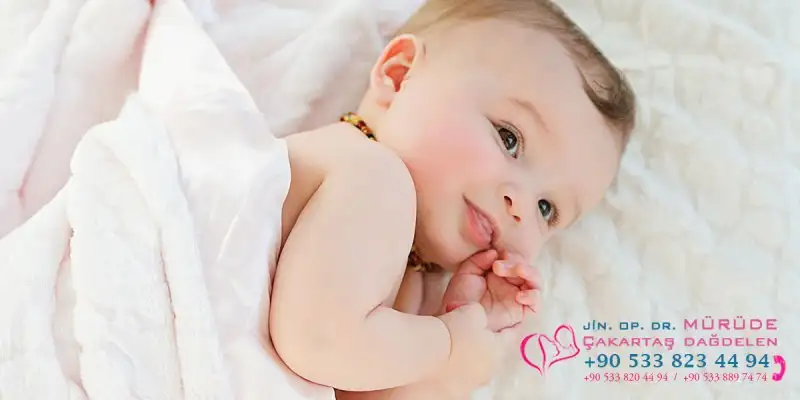 1200 x 600 (7).webp