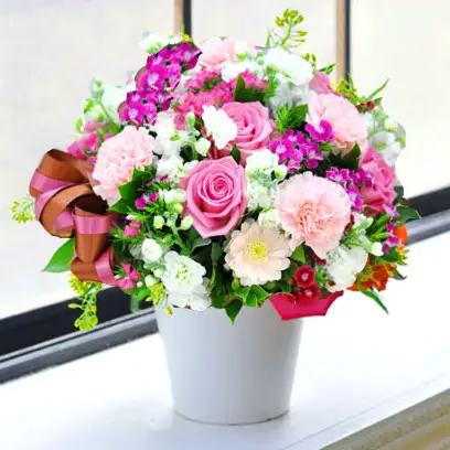 1205011.webp