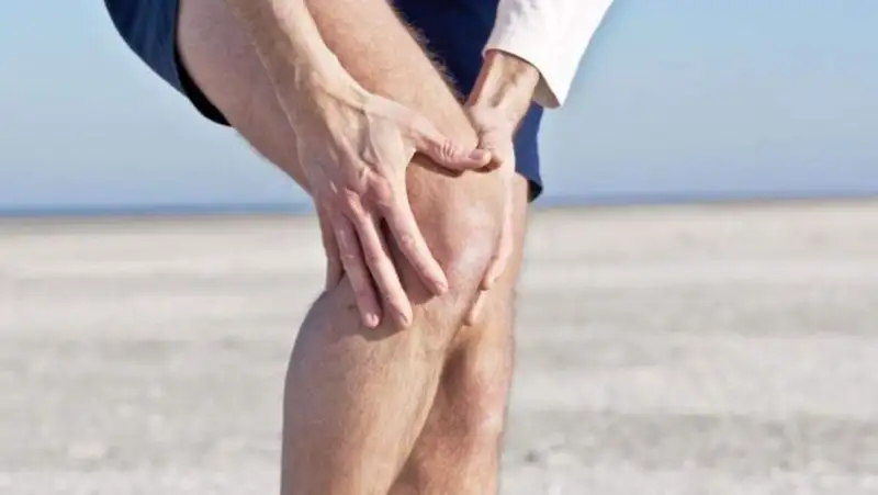 1217485_940x531.webp