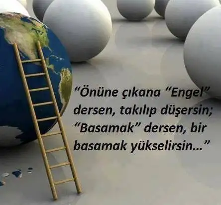 12187919_912311628857870_5272238910550085099_n.webp