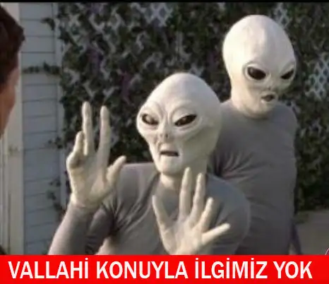 123.webp