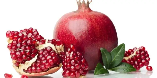 123230-646x323.webp