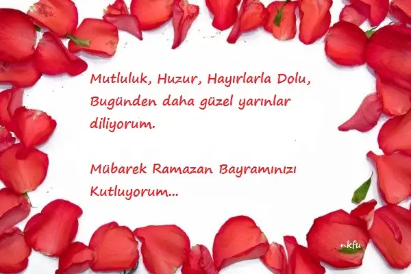 1234.webp