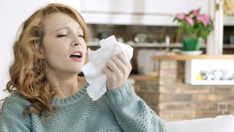 1234852_940x531.webp