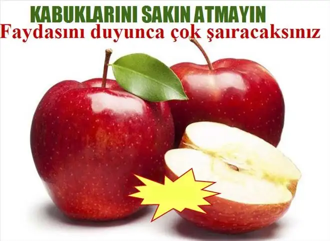 123720293.webp