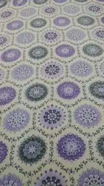 12417547_210055689370310_9189516061143540575_n.webp