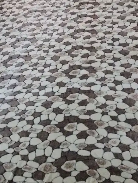 12419337_560068434159240_1472906086189177472_o.webp