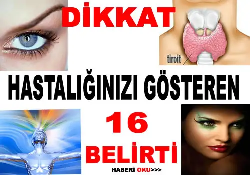 1242040227-adresmerkezi.webp