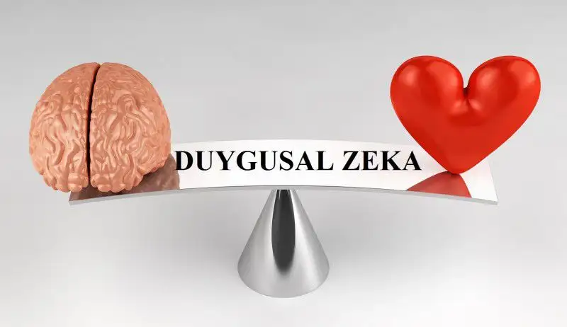124327_yonbilgi-duygusalzeka.webp