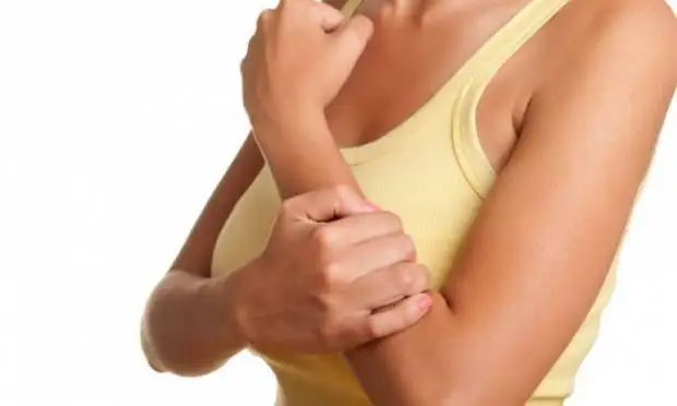 12548.webp