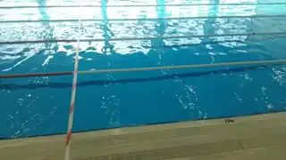 12717181_1237398202955479_3734341876752967310_n.webp