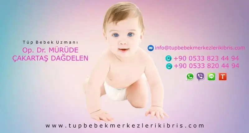 12734090_519896158192834_5749934348049603022_n.webp