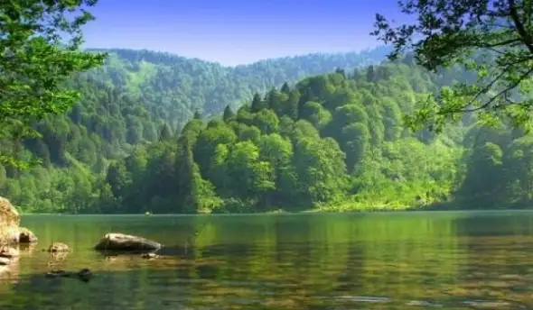 12755.webp