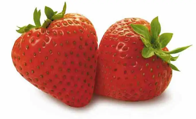1275769794Cilek.webp