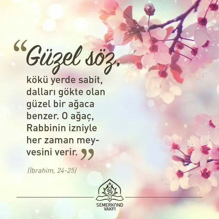 12a8608ea7aedffb5910e5a372ff6405.webp