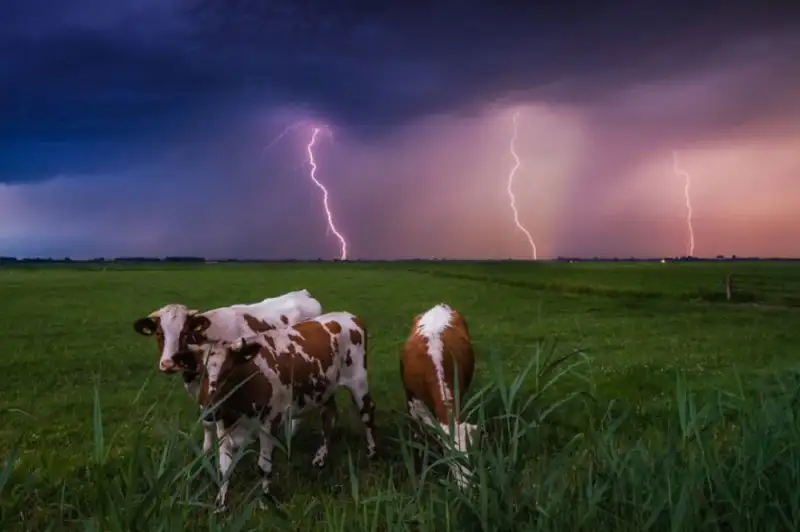 12cb5dd7a07f42f59f1c818e6ff6714e.jpg.1000x0_q85_autocrop_crop-smart_upscale.webp