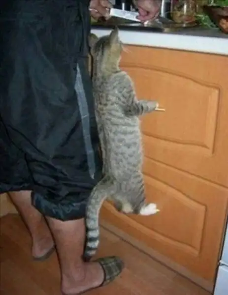 12f84bf9fb33a3d5b0cc290378453048_k.webp