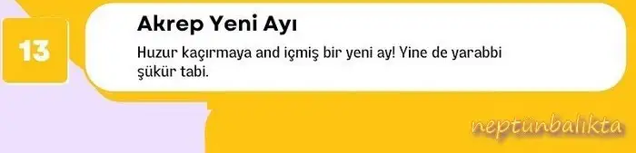 13 ak.webp