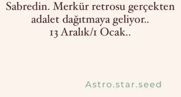 13 ara merk ogl retro1 (3).webp