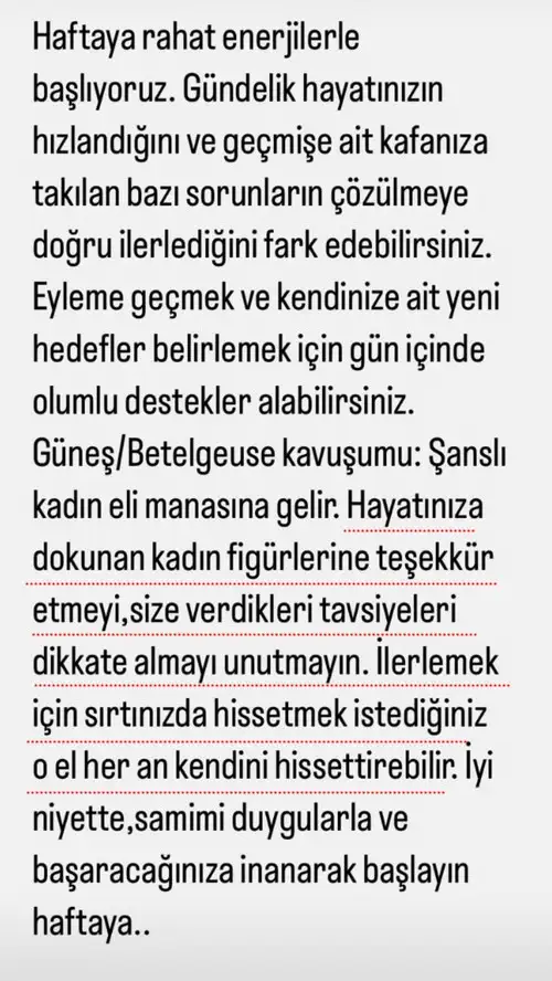 13 haft (2).webp