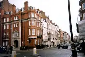13.webp