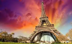 13.webp