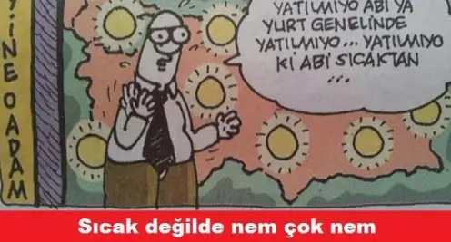13.webp