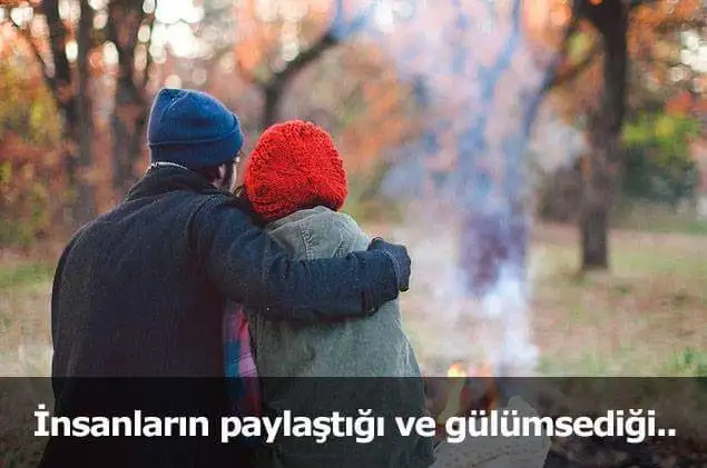 13.webp