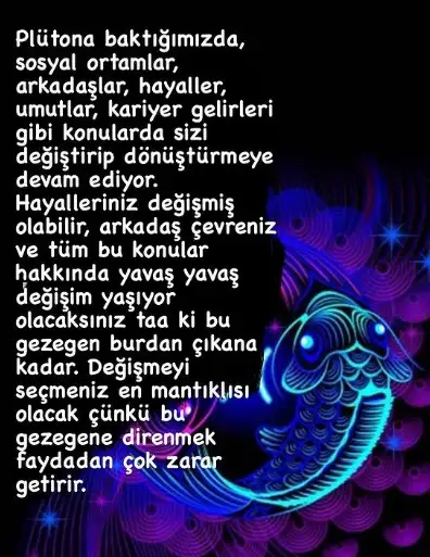 13.webp